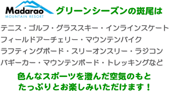 �O���[���V�[�Y���̔����́A�e�j�X���͂��߁A�S���t�A�O���X�X�L�[�A�t�B�[���h�A�[�`�F���[�A�C�����C���X�P�[�g�A�}�E���e���o�C�N�A���t�e�B���O�{�[�h�A�X���[�I���X���[�A�o�M�[�J�[�A���W�R���A�}�E���e���{�[�h�A�g���b�L���O�Ȃǐ��X�̃X�|�[�c�𐟂񂾋�C�̂��ƁA�����Ղ�Ɗy���߂܂��B